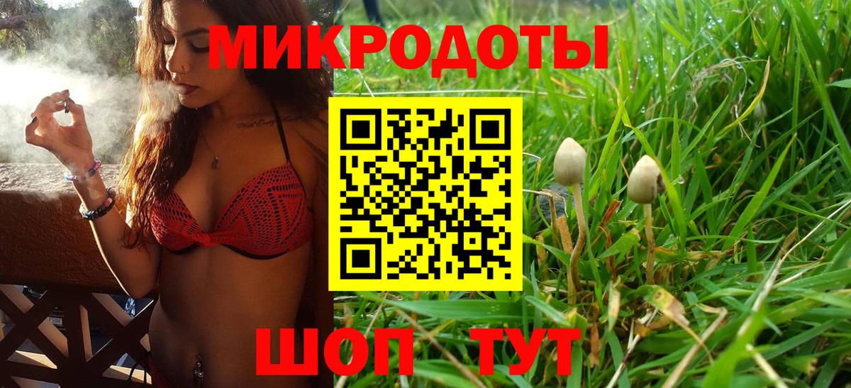 Псилоцибиновые грибы Magic Shrooms  Вход с VPN  Тавда 